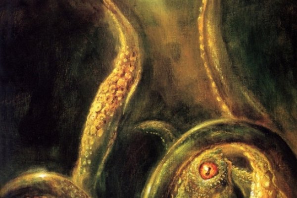 Kraken ссылка kraken014 com